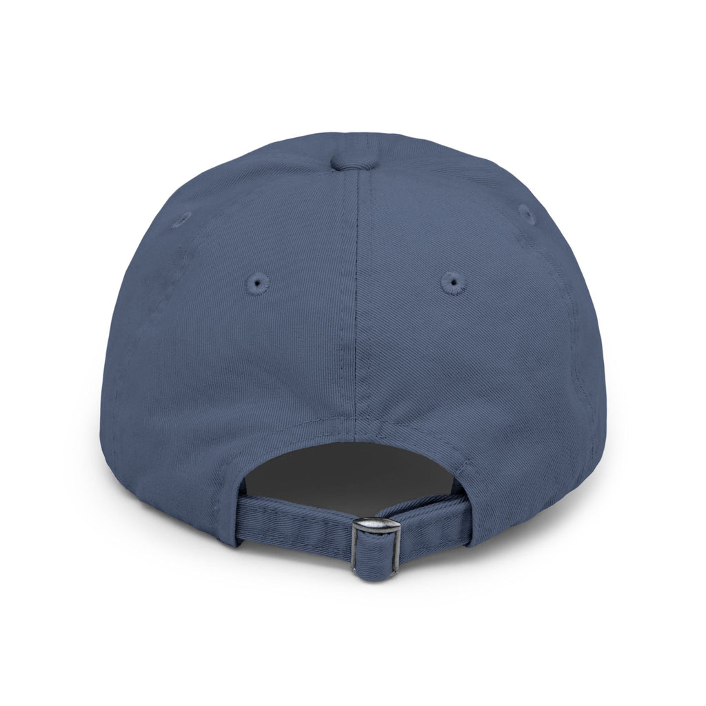 Liberty & Equality Distressed Cap — Family Rights Graphic Baseball Hat